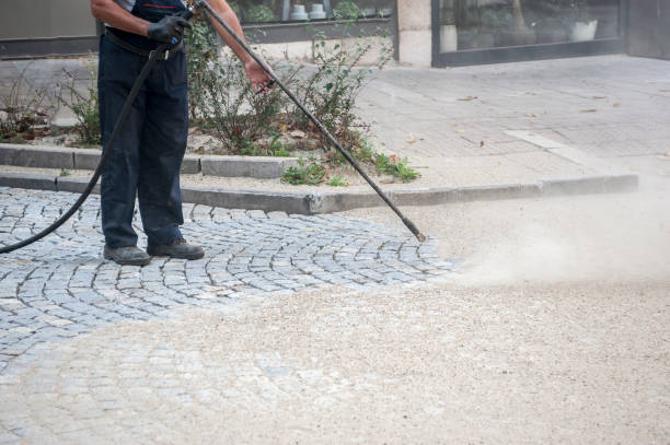 Best Animal Enclosure Cleaning  in Sewanee, TN